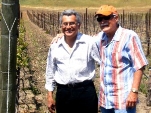 Ernesto & Jim vineyards