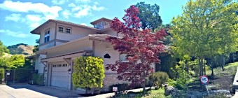 109 Mystic Pl, Alamo, CA